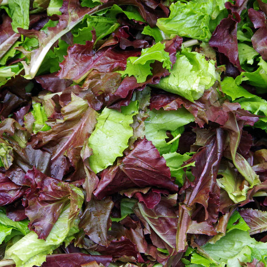 Mix Salad - Bulk