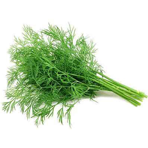 Dill