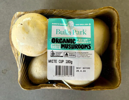 White Mushroom Punnet