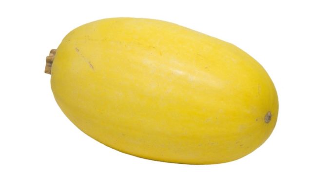 Spaghetti squash