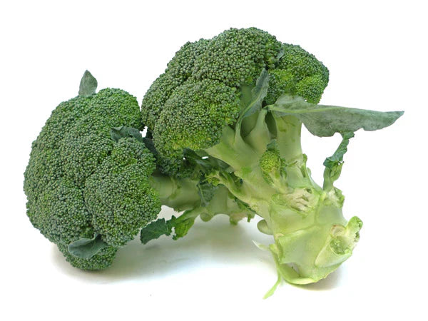 Broccoli