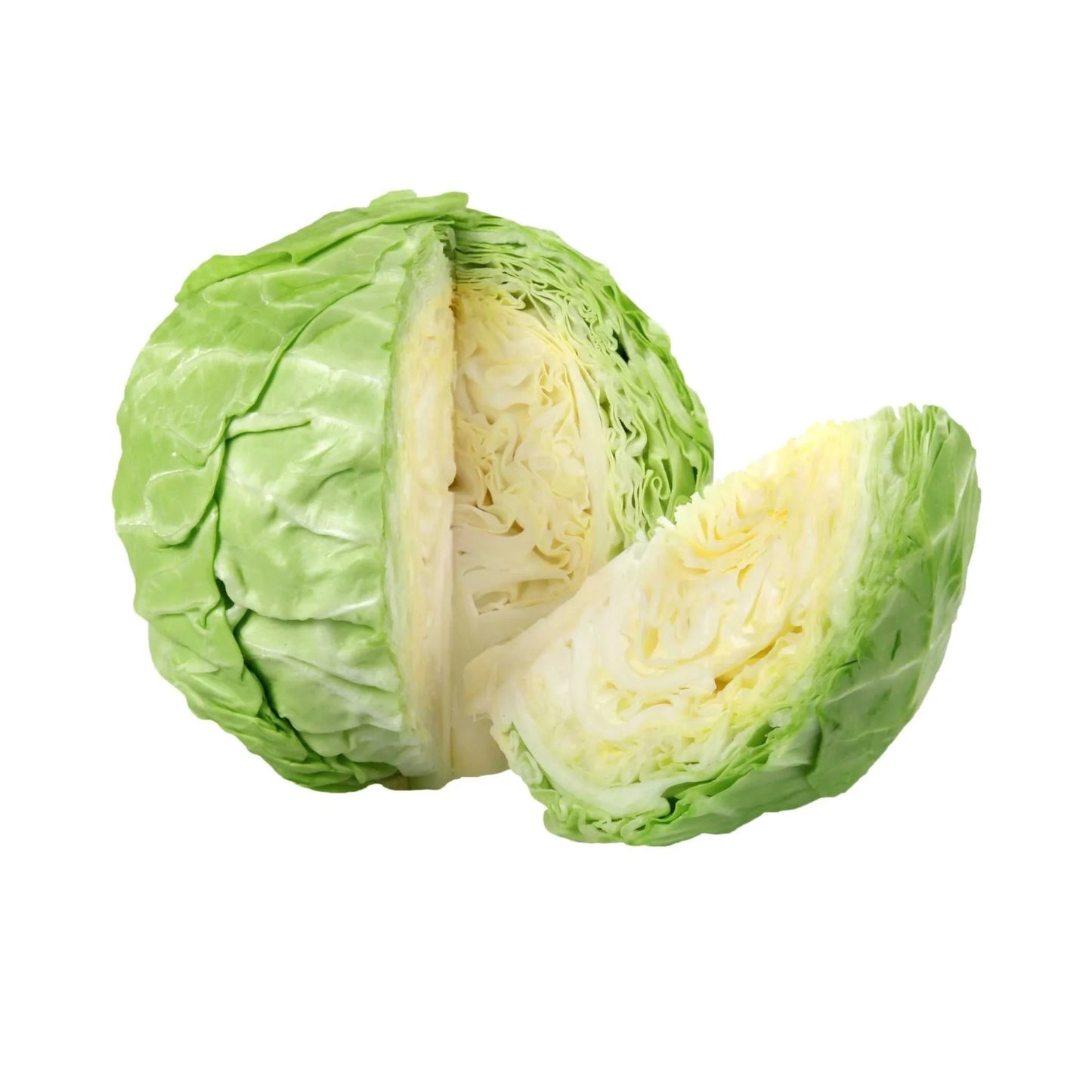 Cabbage-Green