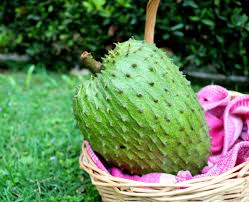 Soursop