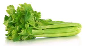 Celery Box