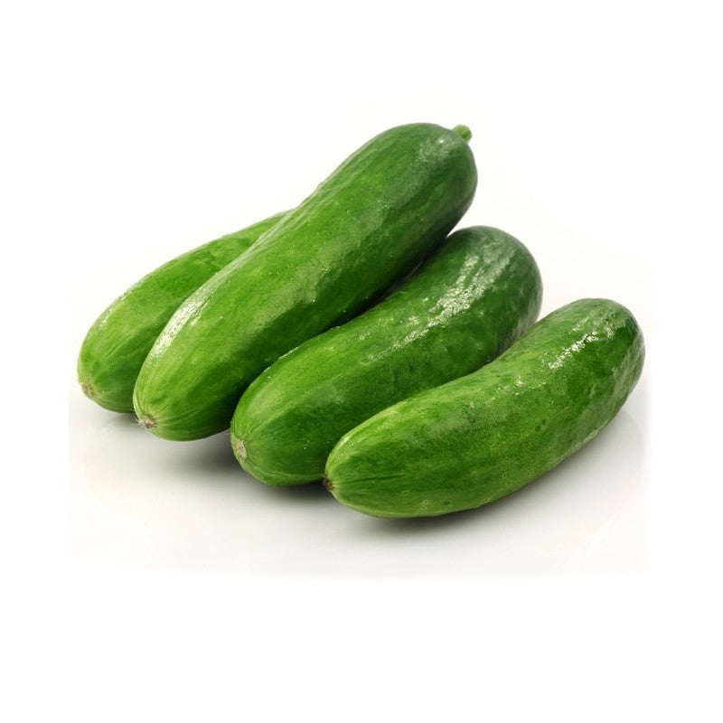 Cucumbers Lebanese Dielectric Organics