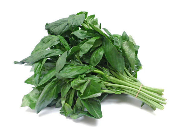 Basil Bunch