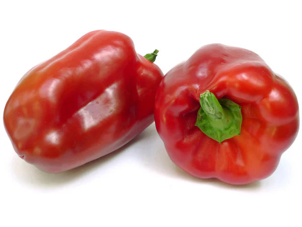 Red Capsicum