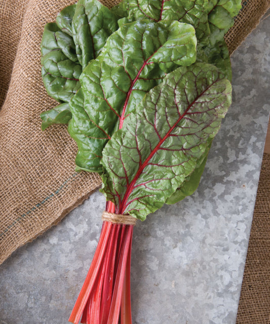 Ruby chard